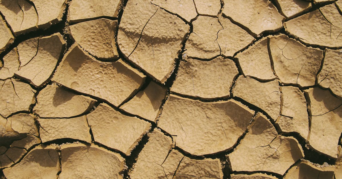 découvrez l'univers des fondations en argile, un choix durable et naturel pour vos projets de construction. apprenez comment ces matériaux offrent une excellente stabilité, isolation et résistance. transformez vos espaces avec des solutions innovantes et écoresponsables.