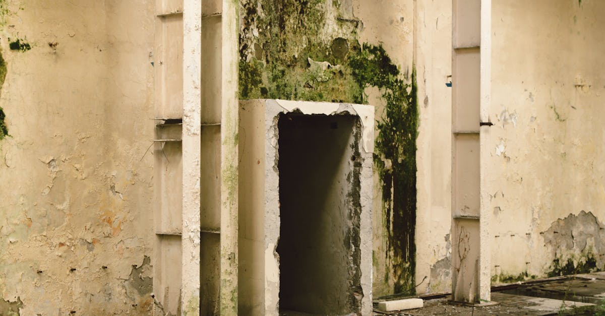 découvrez des solutions efficaces pour traiter les murs humides. protégez votre maison des dommages causés par l'humidité grâce à nos conseils et techniques éprouvés. évitez les moisissures et faites de votre intérieur un espace sain et agréable.