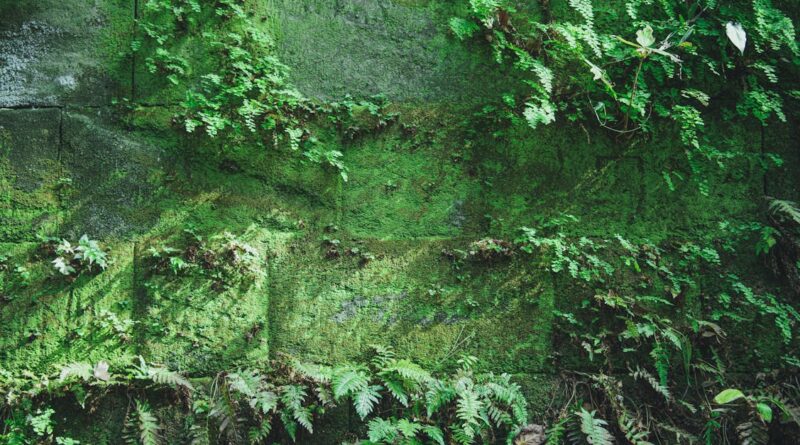 découvrez des solutions efficaces pour les murs humides. protégez votre maison des dommages liés à l'humidité avec nos conseils et traitements adaptés. améliorez la qualité de votre environnement intérieur dès aujourd'hui.