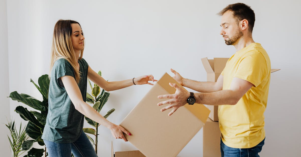 découvrez nos services de rénovation support pour moderniser et améliorer vos espaces. profitez d'une expertise professionnelle pour transformer votre intérieur selon vos goûts et vos besoins.