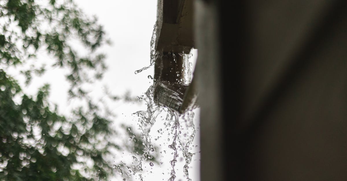 découvrez l'importance du drainage des eaux pluviales pour prévenir les inondations et protéger l'environnement. apprenez les meilleures pratiques et technologies pour gérer efficacement les eaux de pluie dans votre région.