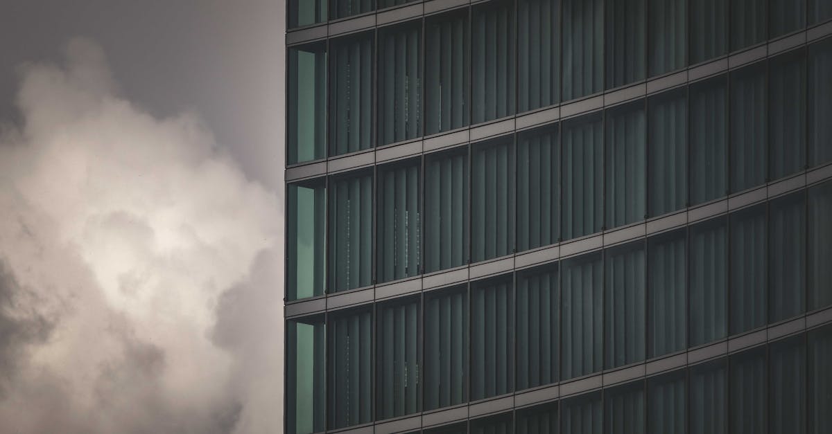 découvrez le cladding : une solution moderne pour l’habillage des façades. améliorez l’esthétique, l’isolation et la durabilité de vos bâtiments grâce à des matériaux innovants et designs.