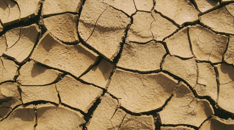 découvrez tout ce qu'il faut savoir sur les fondations en sol argileux : conseils, précautions et solutions pour assurer la stabilité et la durabilité de vos constructions sur un terrain argileux.