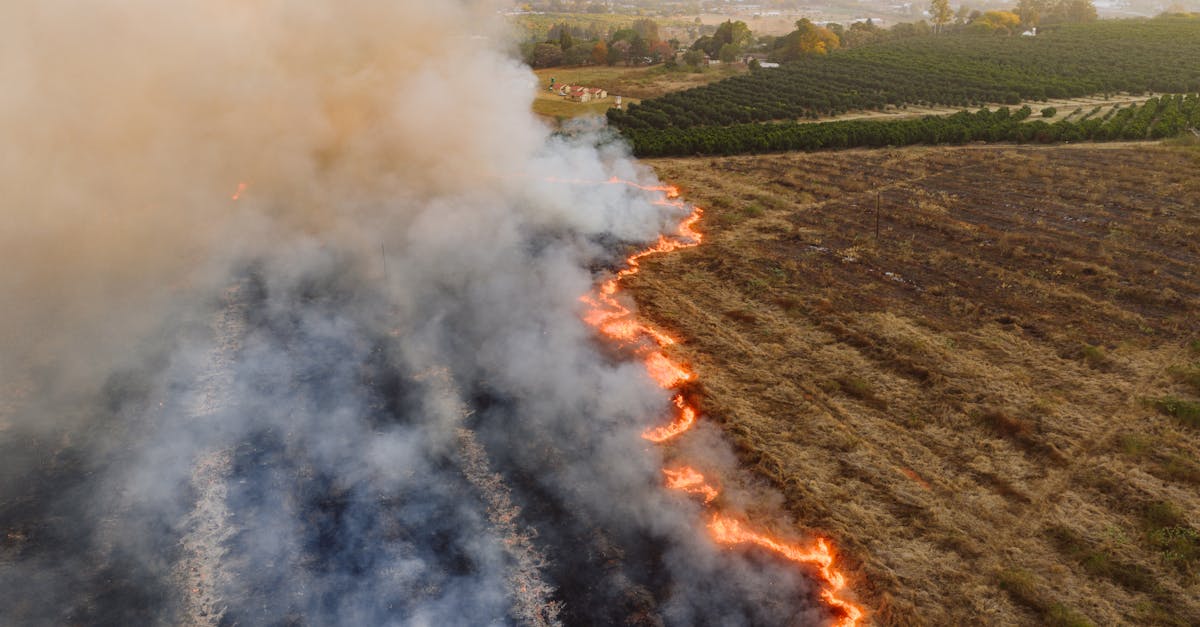 découvrez comment une pompe à chaleur peut améliorer l'efficacité énergétique de votre maison, réduire vos factures de chauffage et respecter l’environnement. guide complet sur le fonctionnement et les avantages des pompes à chaleur.