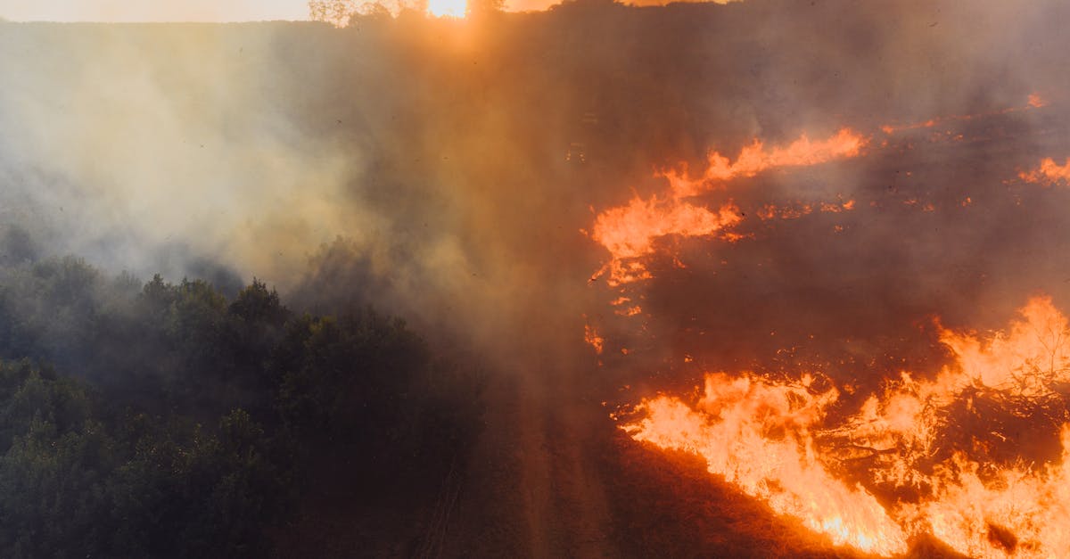 découvrez comment la pompe à chaleur peut vous aider à réaliser des économies d'énergie et à chauffer votre maison de façon écologique. guide, conseils, avantages et fonctionnement de la technologie des pompes à chaleur.