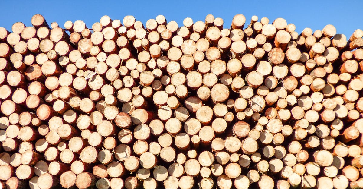 découvrez les labels de construction durable, des certifications qui garantissent des pratiques respectueuses de l'environnement, favorisant un bâtiment éco-responsable et durable. informez-vous sur les différents labels et leurs critères pour faire des choix éclairés dans vos projets de construction.