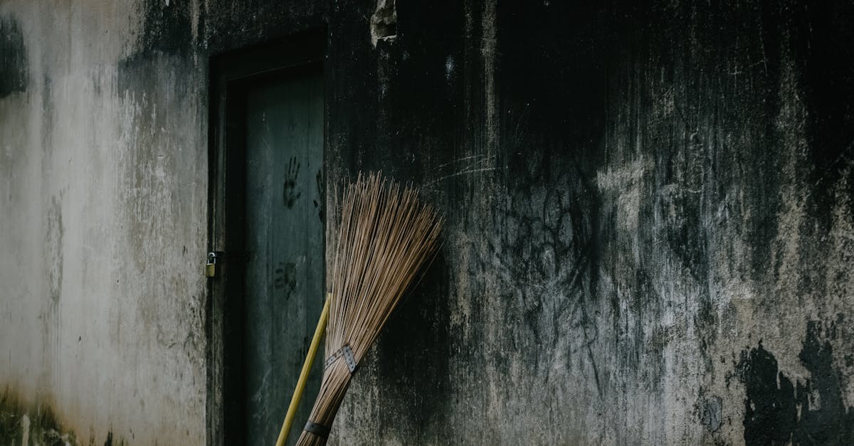 découvrez nos solutions efficaces pour traiter et prévenir l'humidité dans les murs. protégez votre maison contre les dégâts causés par l'humidité avec des méthodes professionnelles et durables.