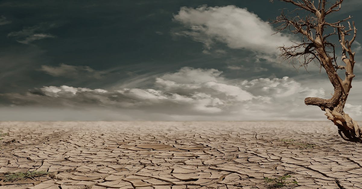 découvrez comment une pompe à chaleur peut améliorer le confort de votre habitat tout en réalisant des économies d'énergie. guide, conseils et avantages de cette solution écologique de chauffage.