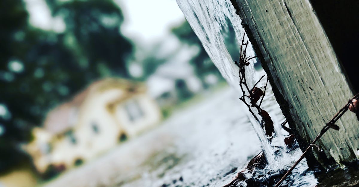 découvrez les solutions de drainage des eaux pluviales pour protéger efficacement votre habitation des inondations et optimiser la gestion de l'eau de pluie. conseils, systèmes innovants et meilleures pratiques.