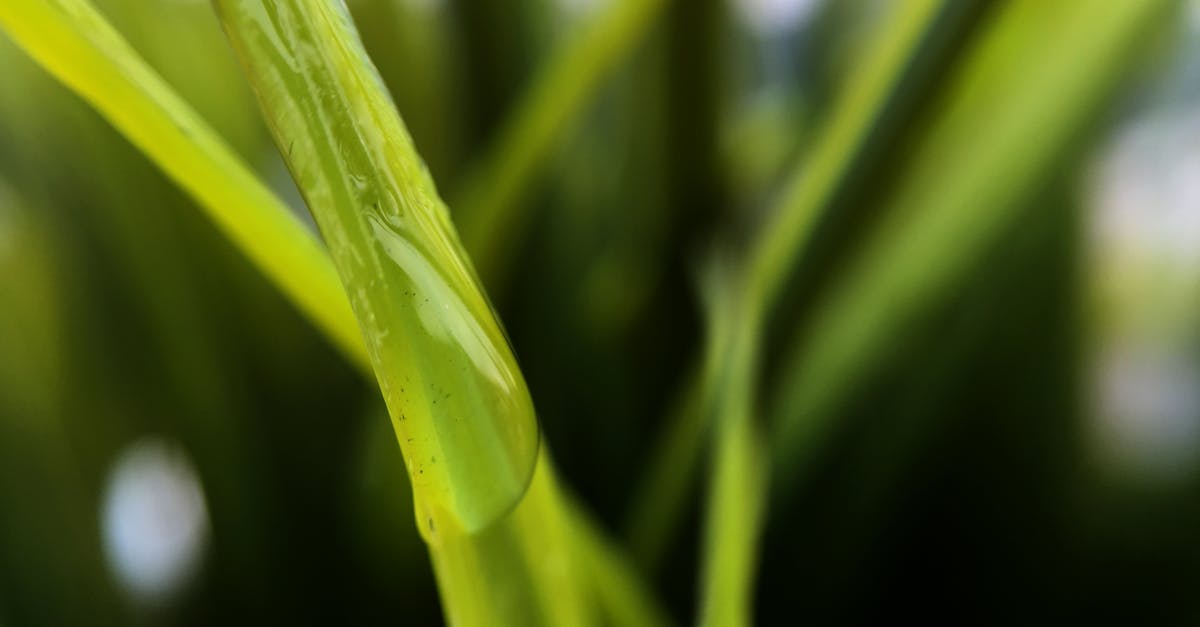 découvrez les meilleures solutions pour la gestion et l’évacuation des eaux pluviales. protégez votre habitat avec un système de drainage efficace et écologique pour éviter les inondations et l’accumulation d’eau.