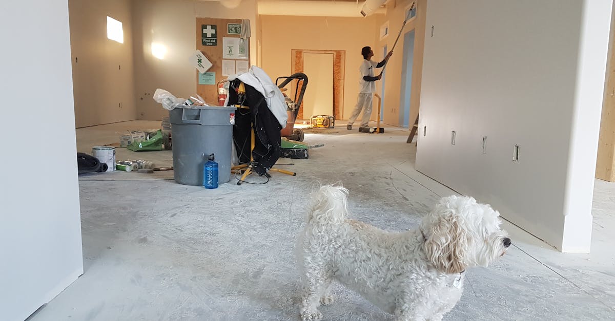 découvrez toutes les aides et subventions disponibles pour la rénovation de votre logement : conseils, montants, conditions d’éligibilité et démarches simplifiées pour réaliser vos projets sereinement.