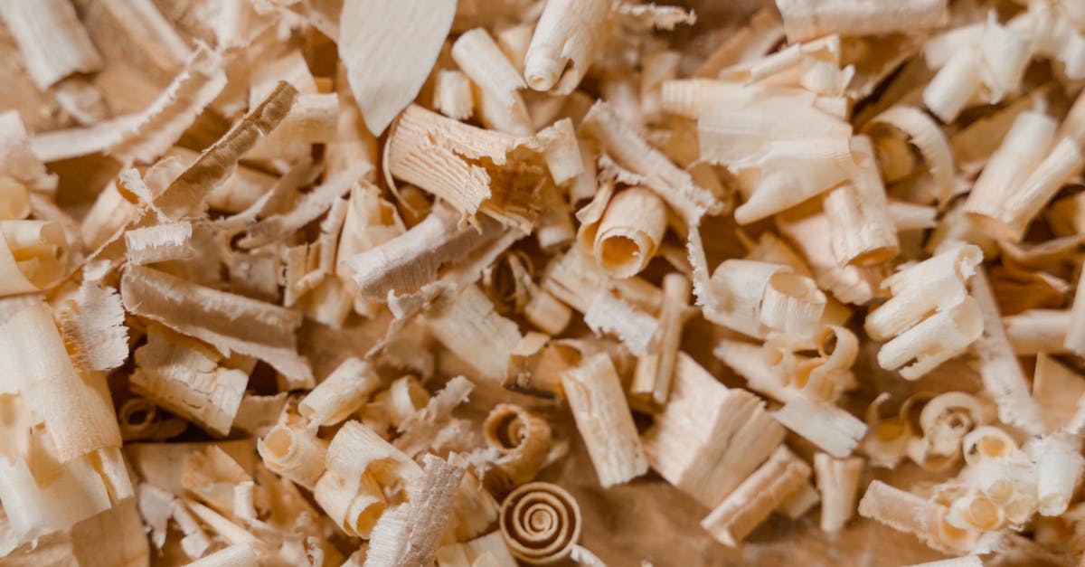 découvrez les labels de construction durable : leurs avantages, critères, et impact environnemental. apprenez comment ces certifications favorisent des bâtiments écologiques, économes en énergie et respectueux de l’environnement.