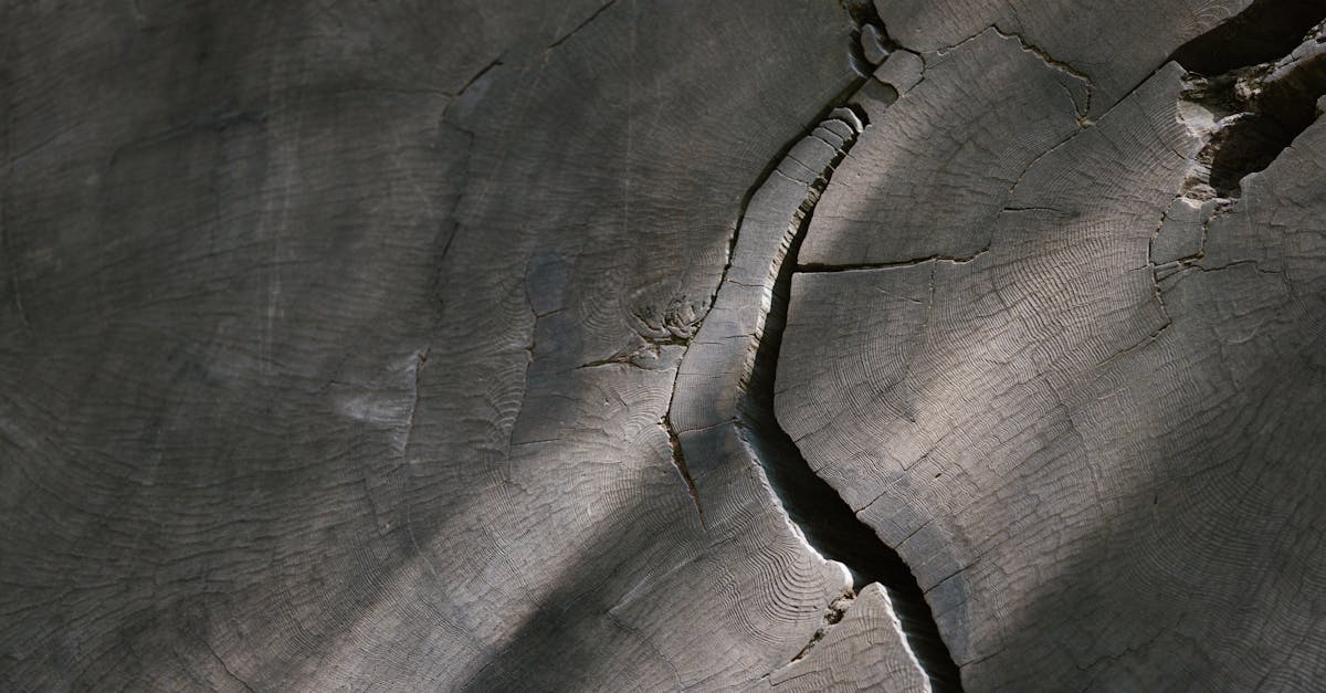 découvrez l'isolation en fibre de bois : une solution écologique et performante pour améliorer l'efficacité énergétique de votre maison, tout en respectant l'environnement.