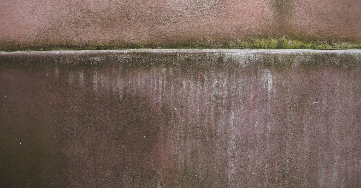 découvrez des solutions économiques pour traiter les murs humides. protégez votre maison de l'humidité grâce à des astuces et conseils adaptés à tous les budgets !