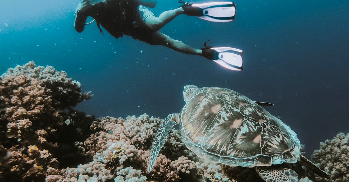 découvrez tout sur les deep foundations : techniques, avantages, applications et innovations dans la construction moderne pour des structures solides et durables.