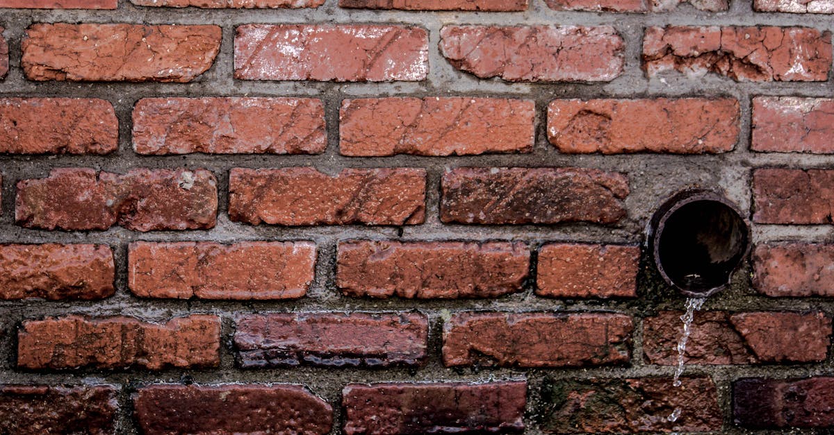 découvrez tout sur le drainage des eaux pluviales : méthodes, solutions innovantes et conseils pour gérer efficacement les eaux de pluie en milieu urbain et résidentiel.